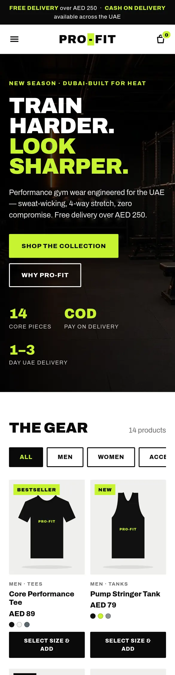 PRO-FIT homepage, a sample website we designed